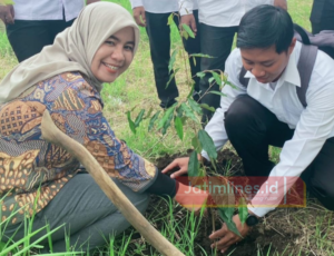 Jaga Kelestarian Alam, Momentum Pelantikan KPPS, KPU Tanam 5.709.898 Bibit Pohon Serentak