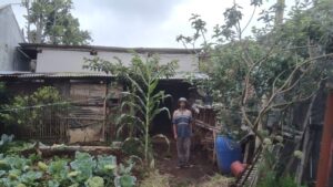 Melihat Potret Kemiskinan di Kota Batu, Pria ini Bertahan Hidup di Kandang Sapi