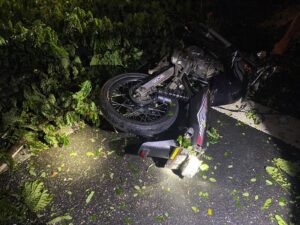Pemotor Tewas Ditempat Ketimpa Pohon Trembesi