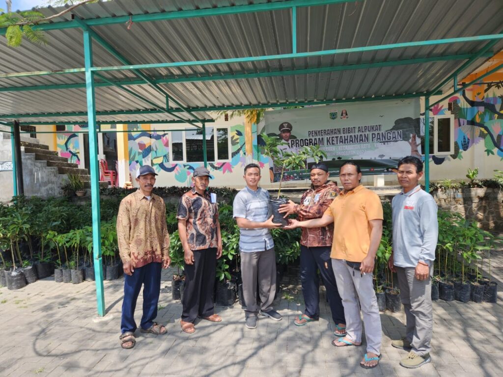Pemdes Pesanggrahan Serahkan 1250 Bibit Alpukat Demi Melestarikan Hutan