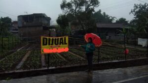 Kontroversi: Utang Piutang dan Lelang Tanah Diduga Berat Sebelah