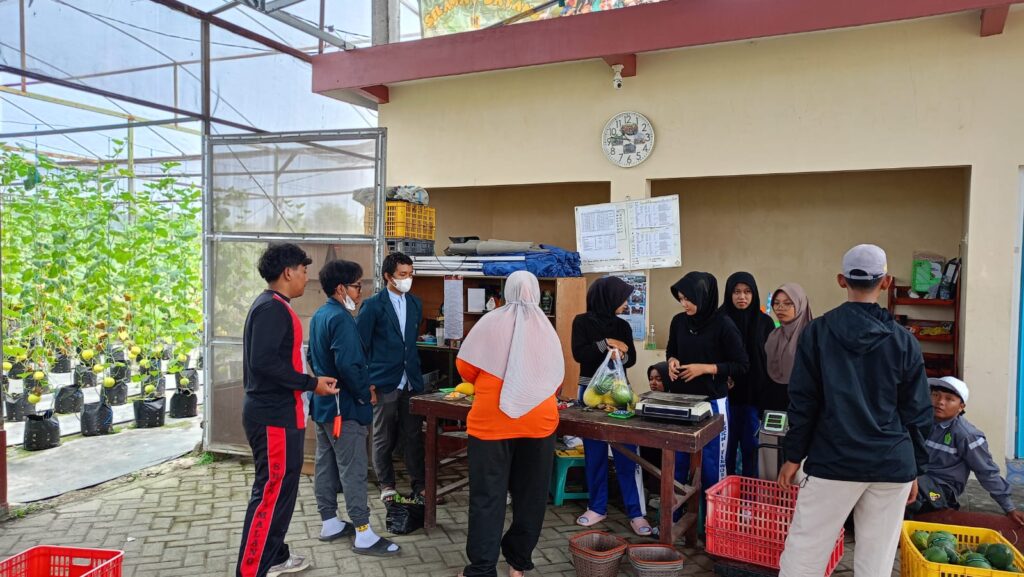 Petani Melenial Kembangkan Budidaya Melon Hidroponik di kebun Puspa Agraria