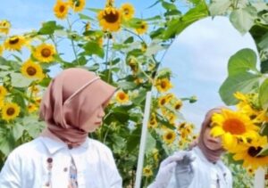 Surga Bunga di Kota Batu: Spot Foto dan Liburan yang Memukau