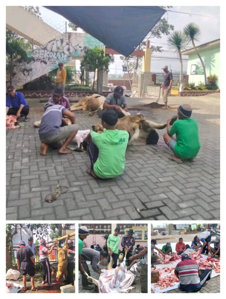 Momen Eid – Al Adha “ESJOSA” Sembelih 2 Sapi dan 3 Kambing Kurban, Libatkan Warga Setempat.