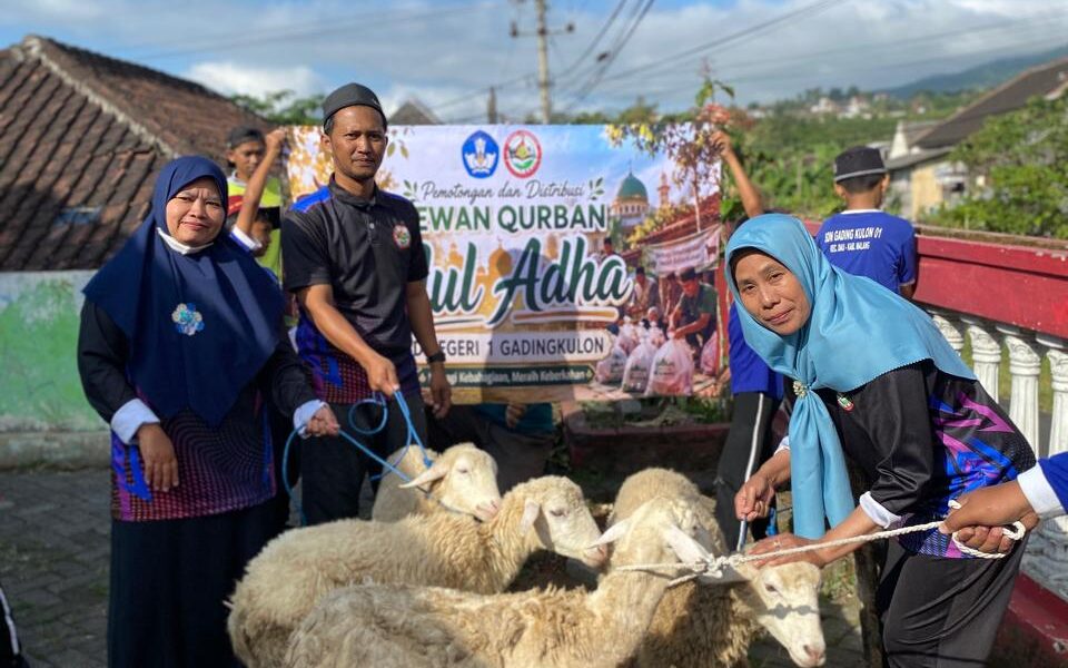 Indahnya Berbagi di Moment Eid Al – Adha ; SDN 01 Gading Kulon Sembelih 9 Kambing