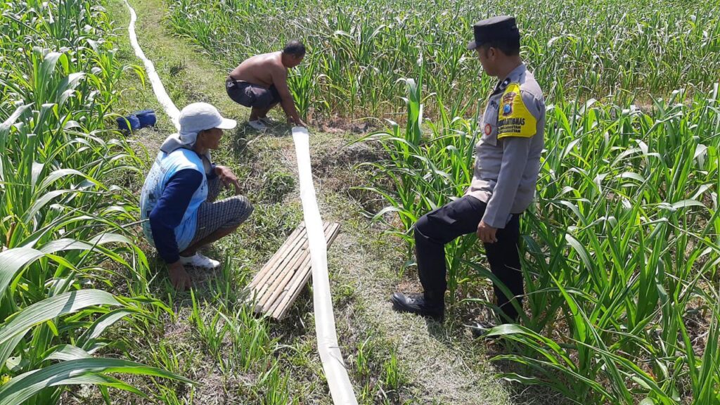 Bhabinkamtibmas Kelurahan Sananwetan Perkuat Ketahanan Pangan Melalui Sambang dan Pendampingan Petani.