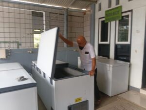 Di Tengah Gempuran Perumahan, Dusun Brau di Batu Justru Banjir Sapi Perah