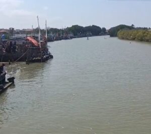 Tumpah Ruah! Lomba Dayung di Sungai Juklanteng Bikin HUT ke-81 RI Makin Meriah