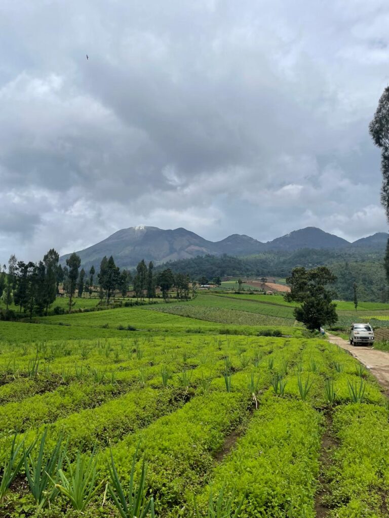 Bumiaji: Ketika Alam, Tradisi, dan Budaya Menjadi Kekuatan Masyarakat